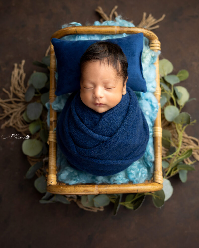 Privision Photography,Newborn Photography,maternity photography,Family Photography, Privision Photgraphy, PriVision Photography